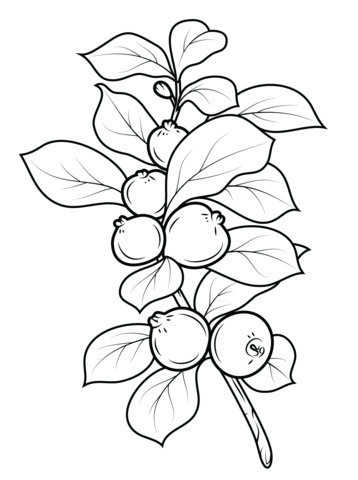 Strawberry Guava Coloring Page